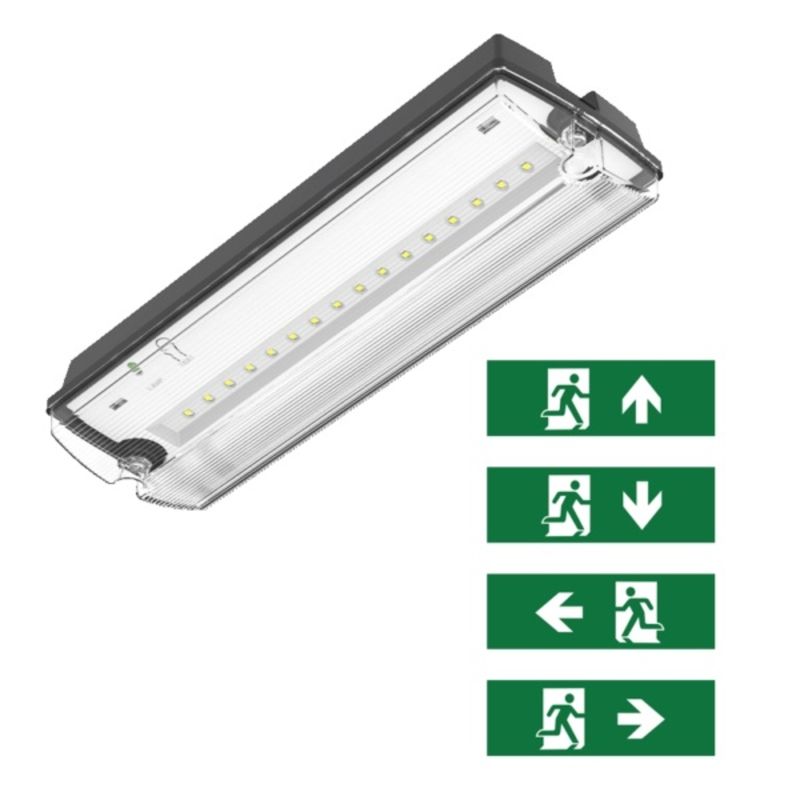 Oświetlenie awaryjne czarne z piktogramami, Pedram, 3W, 6500K LED, IP66