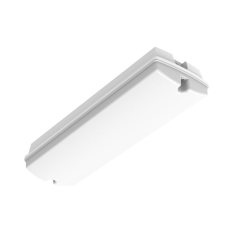 Oświetlenie awaryjne białe, Pedram, 3W, 6500K LED, IP66