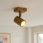 Nowoczesny spot sufitowy brązowy, Elena