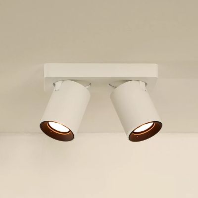 Biały spot sufitowy nowoczesny, Nigel