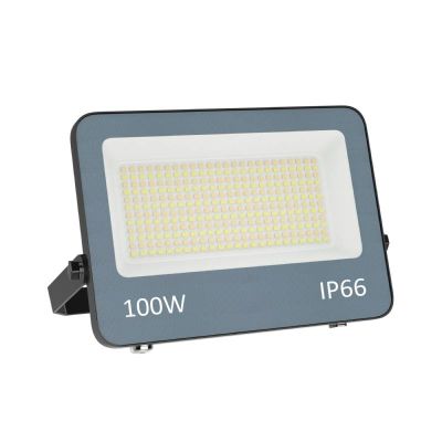 Szary naświetlacz aluminiowy, Ilay, 100W, white switch LED, IP66