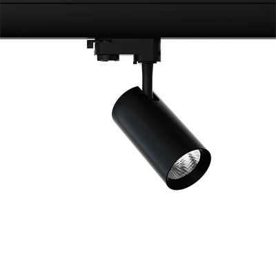 Reflektor szynowy czarny 3-fazowy Esmiralda, 10W, 4000K, Pro