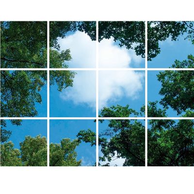 Fotodruk chmurka z lasem - zestaw 12 płyt akrylowych z nadrukiem, do paneli LED o wymiarach 60x60 cm