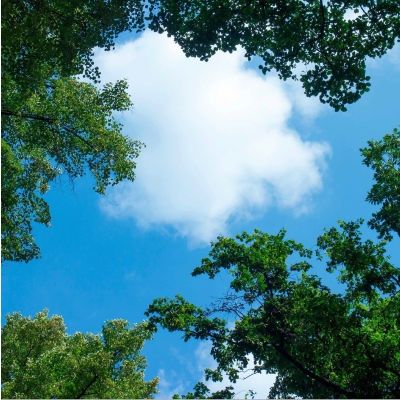 Fotodruk chmurka z lasem - 1 płyta akrylowa z nadrukiem, do paneli LED o wymiarach 60x60 cm