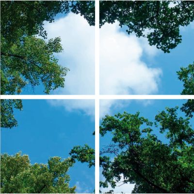 Fotodruk chmurka z lasem - zestaw 4 akrylowych płyt z nadrukiem, do paneli LED o wymiarach 60x60 cm