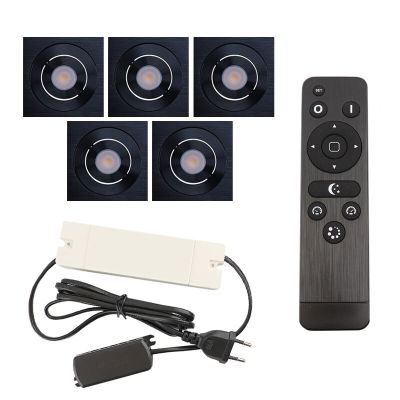 5 uchylne oprawy sufitowe wpuszczane na werandy Rona kwadrat, IP44, z zestawem przyłączeniowym i pilotem, czarny